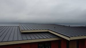 Best Solar Panel Roofing Installation  in Myrtle Beach, SC